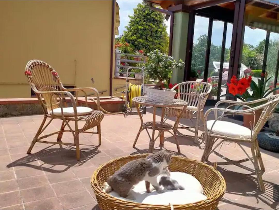 B&B Santa Maria Forino Dış mekan fotoğraf