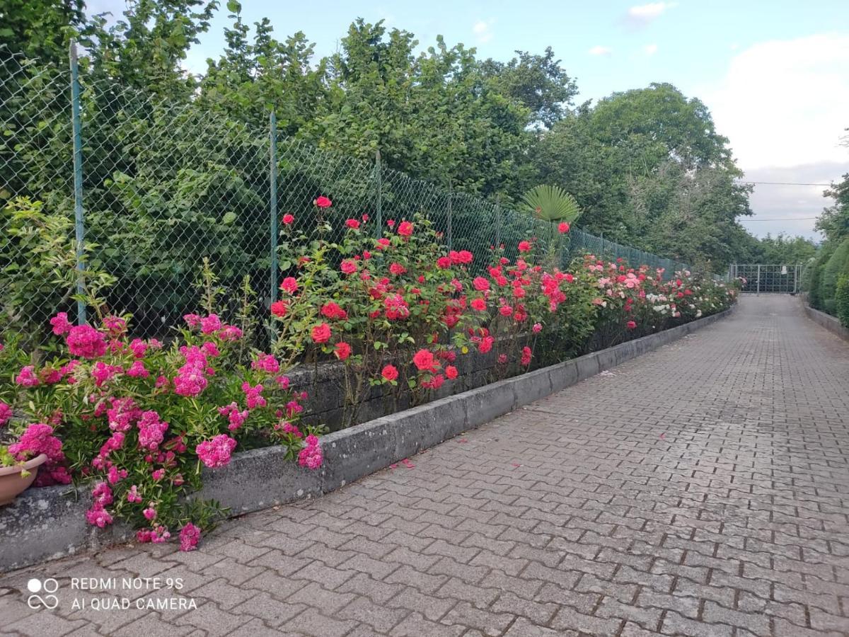 B&B Santa Maria Forino Dış mekan fotoğraf